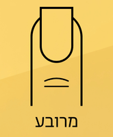 ציפורן מרובעת